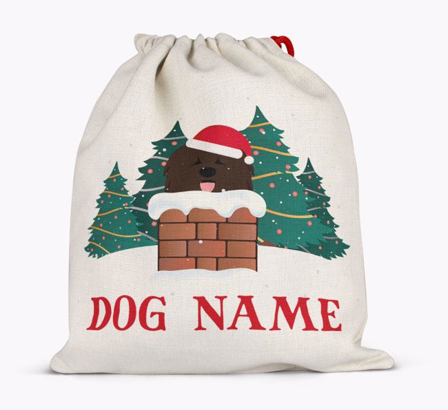 Peeking Dog with Santa Hat: Personalised {breedFullName} Santa Sack 